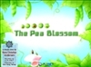 The Pea Blossom - ϵ  :  17